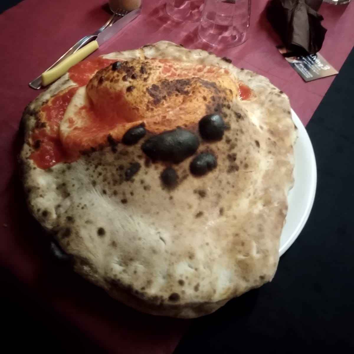 Pizza con pomodoro, mozzarella, salamino piccante, acciughe, capperi, olive, origano